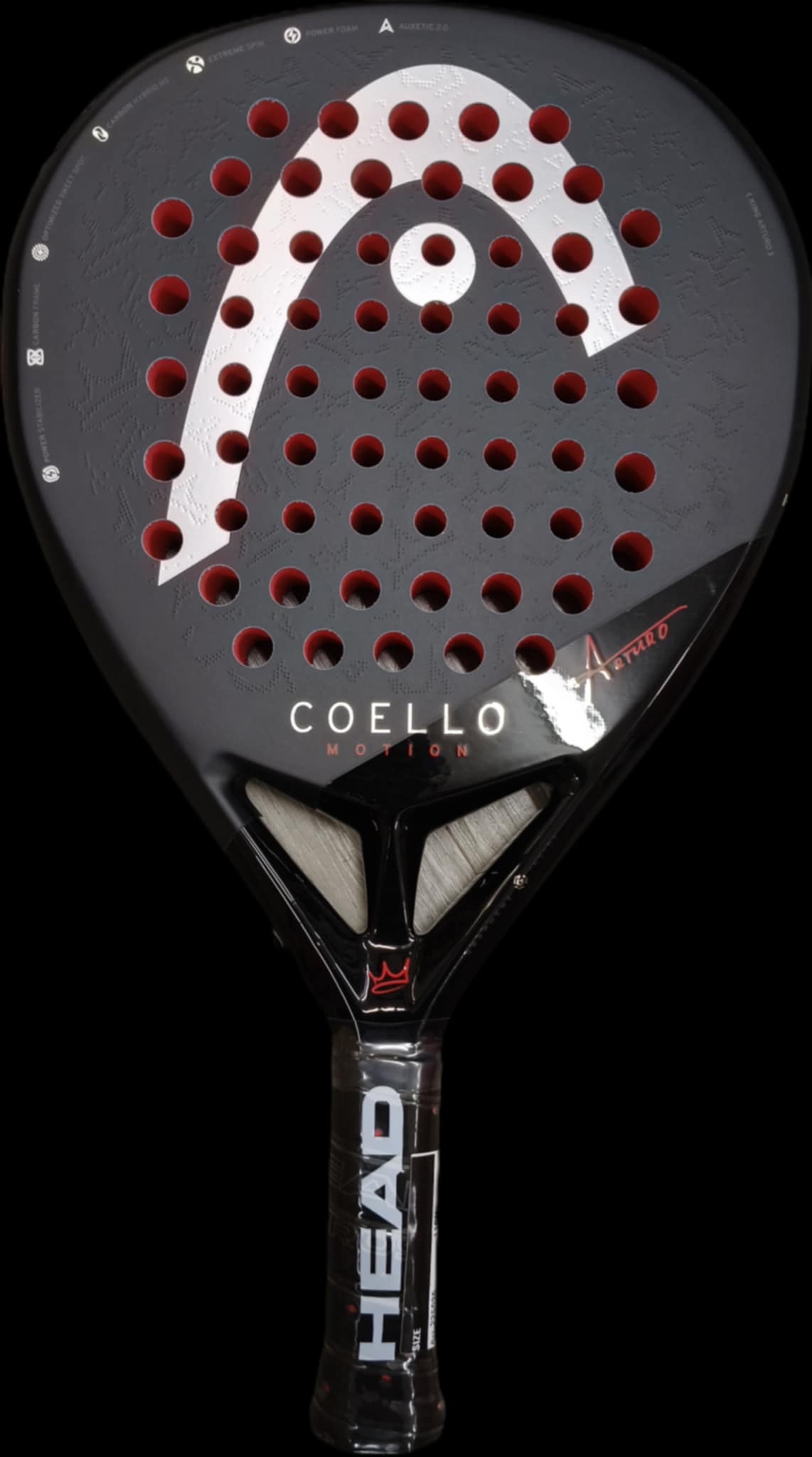 Head Coello Motion Head Coello Motion